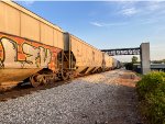 CP 651531